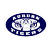 Shirt Transfers Auburn Tigers Heat Transfer Printing Supplier